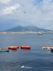 pożary we Włoszech Neapolu